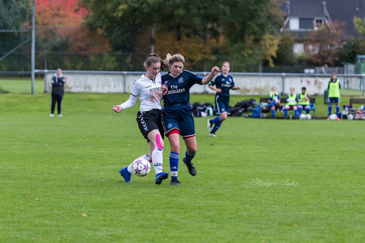 Bild 166 - B-Juniorinnen SV Henstedt Ulzburg - Hamburger SV : Ergebnis: 2:3